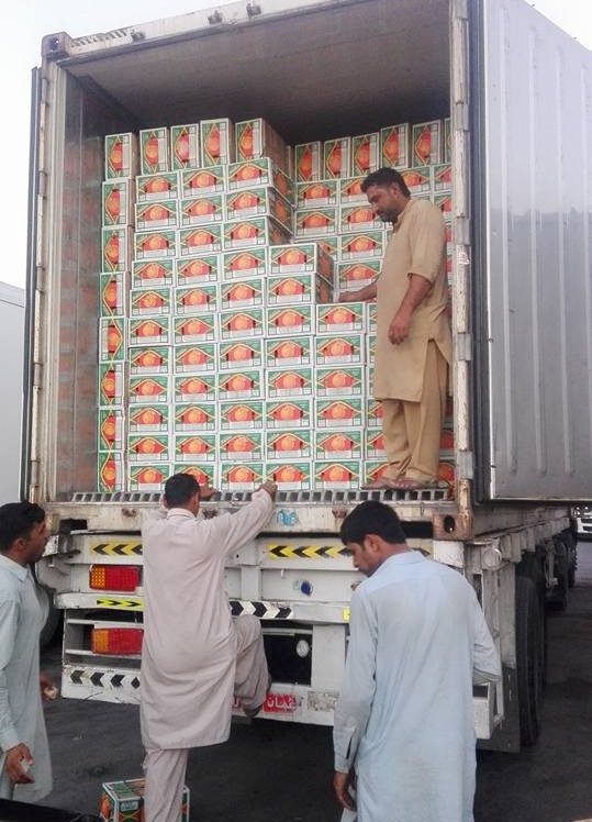 Export Containers